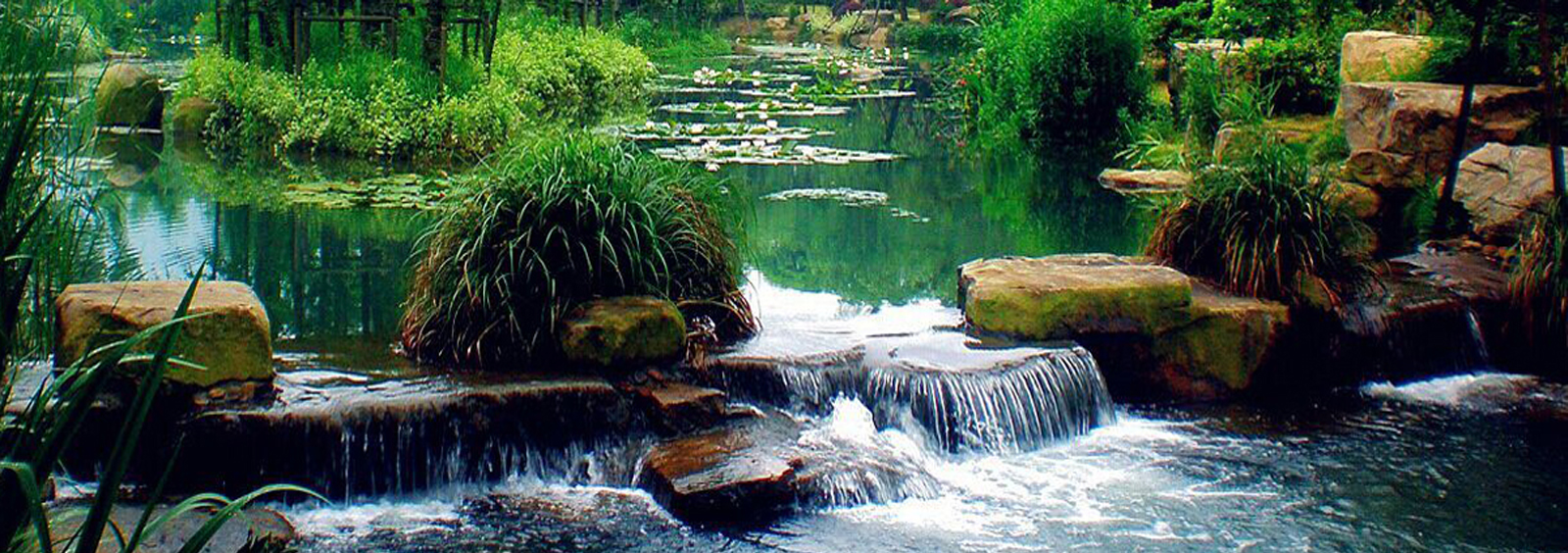 url(http://www_tc-mm_cn.missourispecialtyproteins.com/theme/TP000163/pic/banner3.jpg)